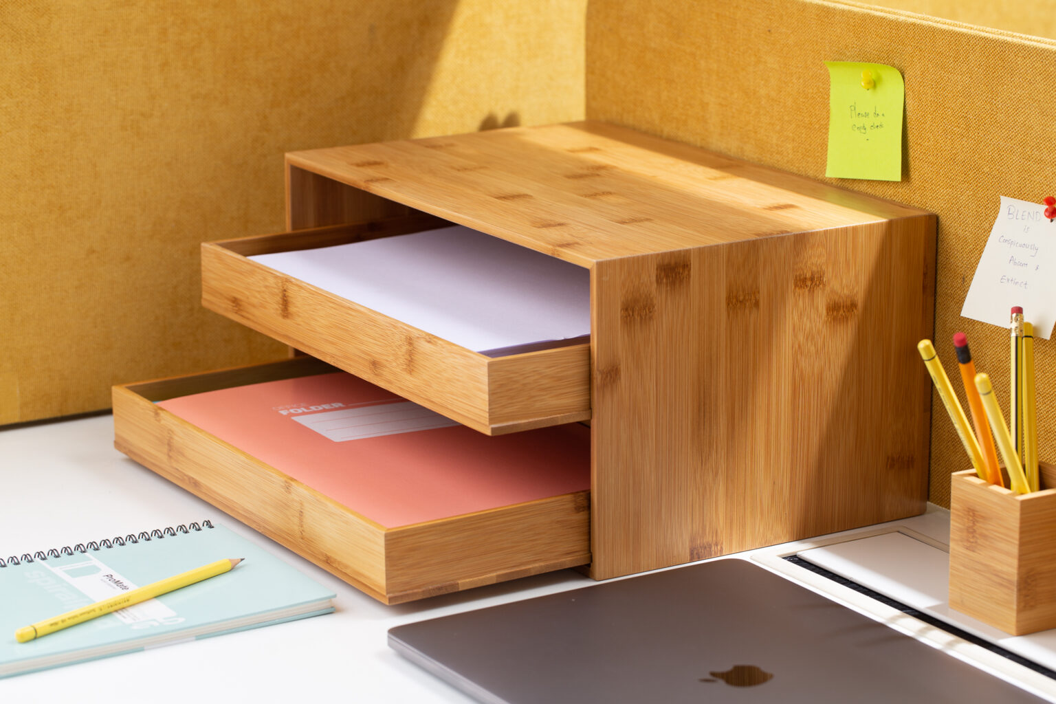 KESHARA BAMBOO 2 DRAWERS DOCUMENT HOLDER – timberconceptsshop