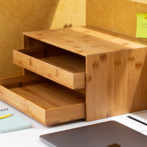 DRAWER TYPE PRESENTER