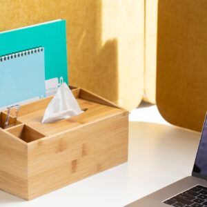 PEN HOLDER WITH TISSUE BOX PRESENTER