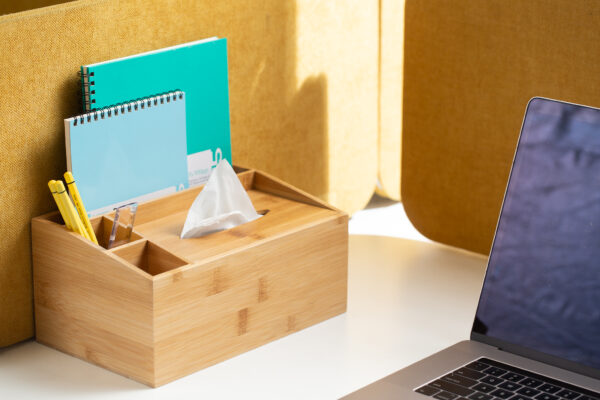 PEN HOLDER WITH TISSUE BOX PRESENTER